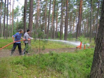 Skrzynia 2004