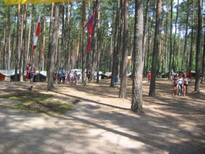Skrzynia 2005