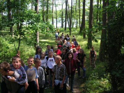 Skrzynia 2005