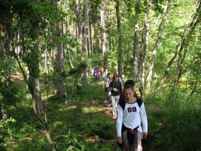 Skrzynia 2005