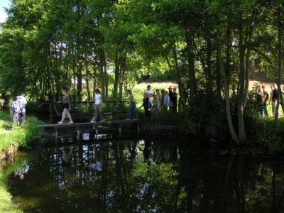 Skrzynia 2005