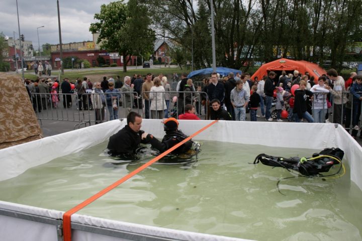 Festyn 2012