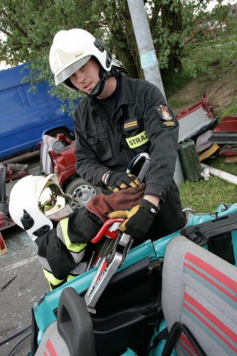 Festyn 2012