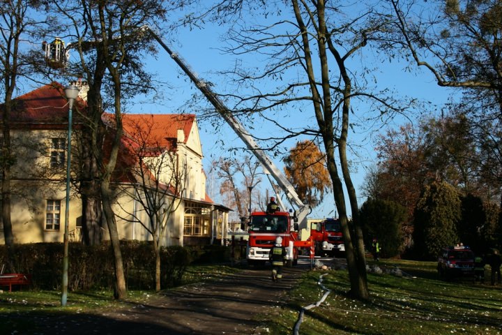Szpęgawsf 2012