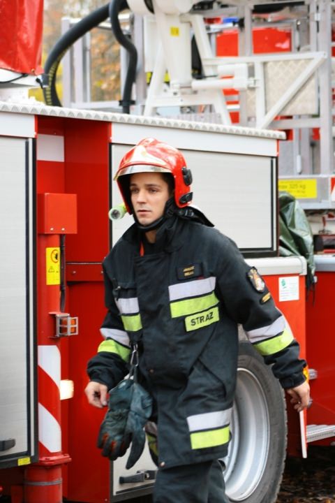 Stado