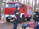 Skrzynia 2004