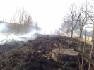 Pożary traw 2011