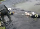 Psu na ratunek - Bączek 17 maja 2010r.