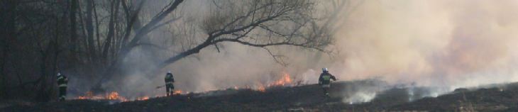 alt src=images/stories/rok2011/trawaskarszewska/sdc11254.html mce_src=